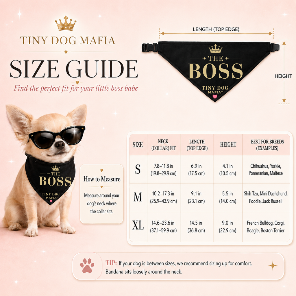 🛡️ The Protector – Tiny Dog Mafia™ Identity Bandana | Clip-On Pet Bandana