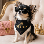 👑  The Queen – Tiny Dog Mafia™ Identity Bandana | Clip-On Pet Bandana