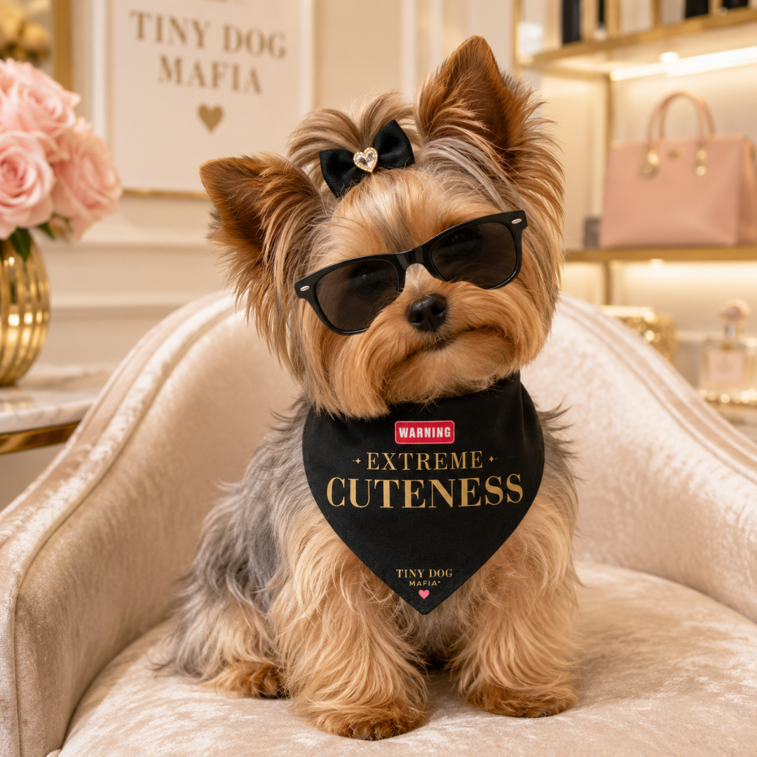 ‼️ Extreme Cuteness – Tiny Dog Mafia™ Identity Bandana | Clip-On Pet Bandana