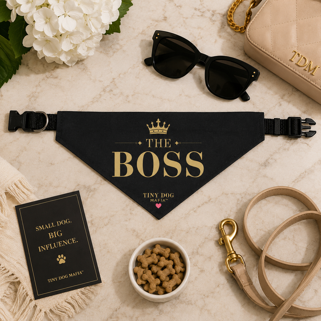 👑 The Boss – Tiny Dog Mafia™ Identity Bandana | Clip-On Pet Bandana